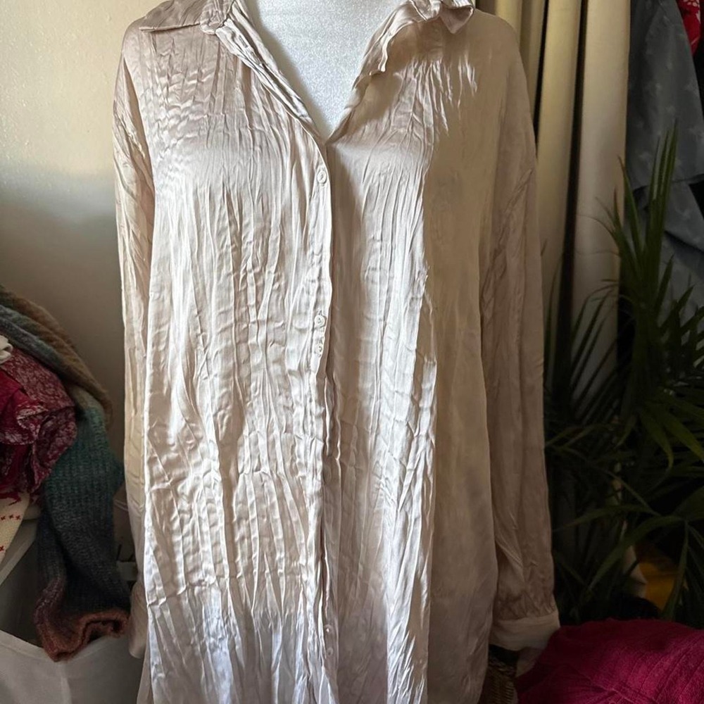 Zara cream button up blouse